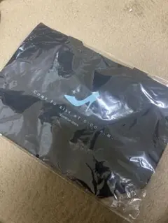 Item thumbnail for item 88889ff2-417c-462b-b595-19085116e5d3