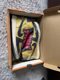 NIKE ターミネーター high Michigan