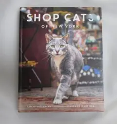 2026年最新】猫洋書の人気アイテム - メルカリ