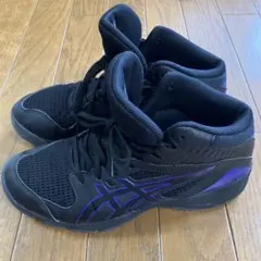 ASICS バスケットボールシューズ 25.0cm ブラック/パープル