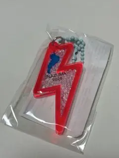 琵琶湖キーホルダー　フェストイナズマ