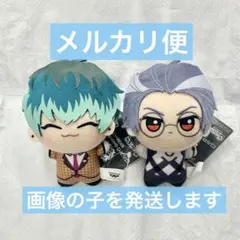 2025年最新】躑躅森盧笙 ちびぐるみの人気アイテム - メルカリ