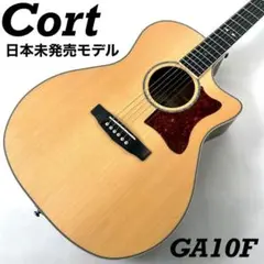 新品弦張替済】Takamine エレアコ NPT-108-6 長渕剛 - メルカリ