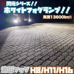 閃光シリーズ！L1B用 ホワイトフォグランプ！ 片側40W 実測9200lm