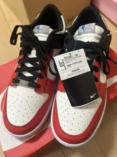 新品未使用品　NIKE DD3363-100 29.0cm