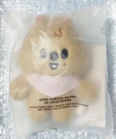 straykids SKZOO PLUSH 10CM Ver. クウォッカ ハン
