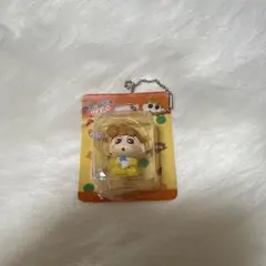 クレヨンしんちゃん ミニチュアパッケージコレクション 2 ひまわり