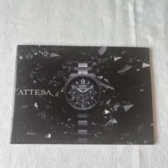 Item thumbnail for item eabbdcb6-54a7-404e-b70f-da6f3b46c3d5