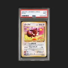 早い者勝ち】 ピチュー No172 旧裏 プレミアムファイル2 PSA9 - メルカリ