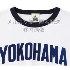 阪神タイガース スーパーマリオブラザーズ40周年 限定ベースボール