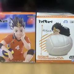 ハイキュー　すやすやルームライト　ぬーどるストッパー　西谷