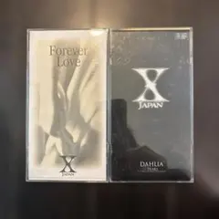 X JAPAN CD 2枚セット Forever Love DAHLIA