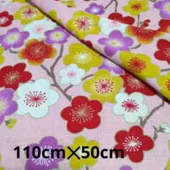 Item thumbnail for item faf30906-c02c-48c2-9299-02b2e6321893