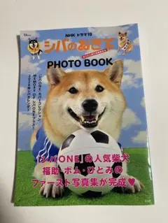 シバのおきて PHOTO BOOK 宝島社
