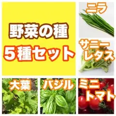 もす様 リクエスト 2点 まとめ商品