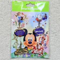 【未開封】ディズニー ニューファンタジーランド アトラクション チャーム 4種