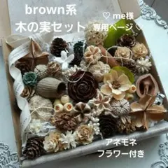 ♡　me様専用　brown系　木の実セット & ブッタナッツ　♡