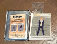 ハイキュー!! はふはふランダム立体マグネットキーホルダー 日向翔陽