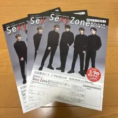 SexyZone カレンダー フライヤー3枚