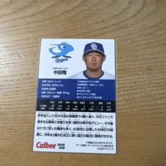 中田翔　プロ野球チップスカード2025