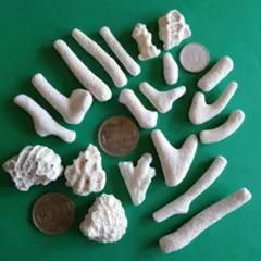 月木発送休日/元TAG/アートと日常様 リクエスト 5点 まとめ商品