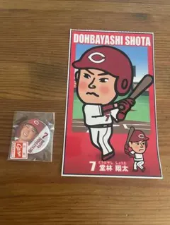 Item thumbnail for item e87cc29c-e811-4c62-bb0b-20e3c319f2c1