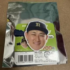 前髪クリップ 紅林