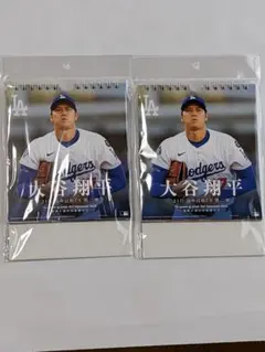 大谷翔平選手】日ハム時代 クリアファイル《バッターVer》(2枚セット