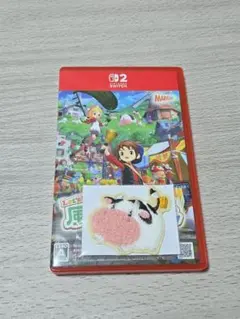 風のグランドバザール switch2