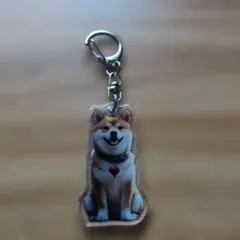 新品未使用で可愛い柴犬イラスト キーホルダー