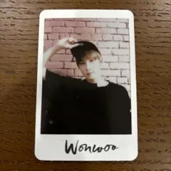 seventeen ウォヌ　トレカ