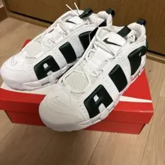 Item thumbnail for item 8d01a67a-a97e-492d-b23e-f7a9446c0d4a