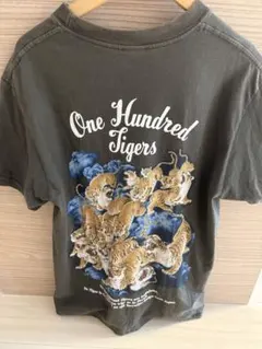 Item thumbnail for item 41a80de6-44ff-4e75-9c63-a706e311dcce