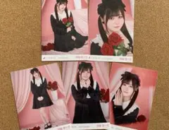伊藤理々杏 ✨ 2025 バレンタイン 生写真 5種 コンプ