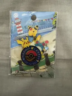 2026年最新】ポケモンセンタートウキョーベイ ロゴピンズの人気