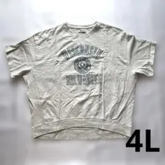 SEEROOTS カレッジロゴ 半袖Tシャツ グレー　大きめ　4L