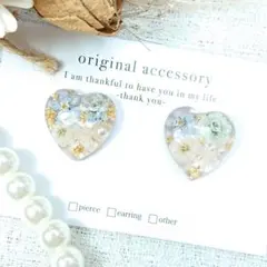 #4368/ハンドメイド♡押し花ドライフラワーレジンピアス