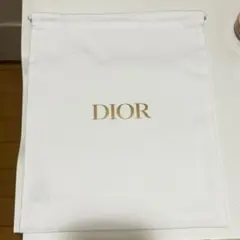 Dior 巾着 非売品 ポーチ 約28×23 新品