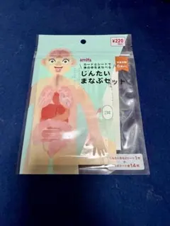 じんたいまなぶセット amifa 知育玩具