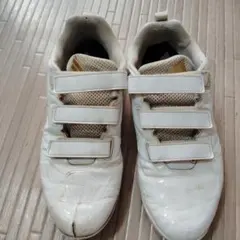 Item thumbnail for item 4ff4915f-cd86-4ab1-818d-0053d53081ec