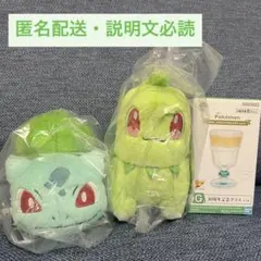韓国限定ポケモンフォレスト 30周年 ピカチュウ ぬいぐるみ ソウルの森