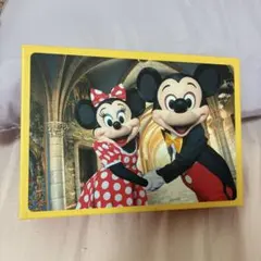 ディズニー ポストカード 37枚セット まとめ売り 箱付き うさたま 35周年