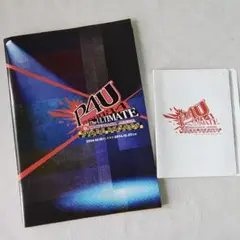P4U パンフレット＋ブロマイドセット