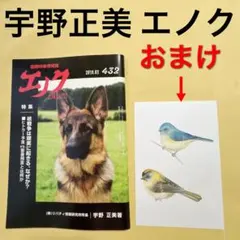 宇野正美 エノク 2019年3月号 No.432 リバティ ポストカードはおまけ