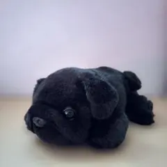 黒パグ　ぬいぐるみ