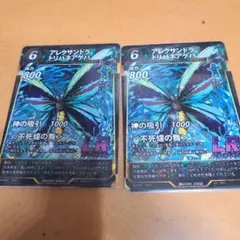 蟲神器　アレクサンドラトリバネアゲハ２枚
