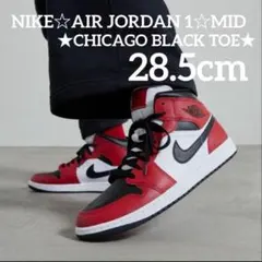 NIKE☆AIR JORDAN 1★CHICAGO BLACK TOE★28.5