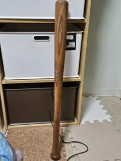 Item thumbnail for item 37c136d7-68ea-4cde-b82d-09ca277c22fb