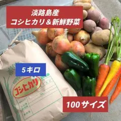 天日干しコシヒカリ 信州 南アルプス - メルカリ