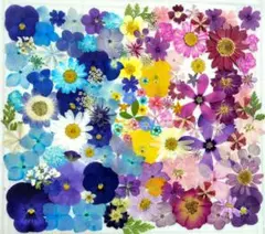 Item thumbnail for item 1927e189-6194-4607-a60a-d2a767927685